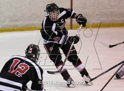 Thumbnail 2 in Bedford @ Pinkerton photogallery.