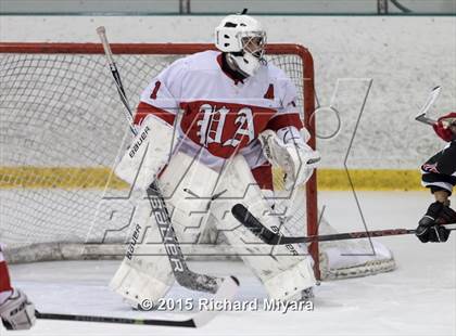 Thumbnail 3 in Bedford @ Pinkerton photogallery.