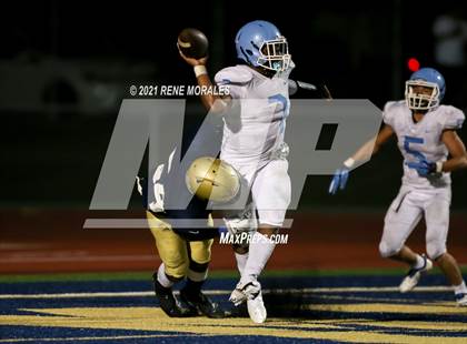 Thumbnail 2 in Carson vs Muir photogallery.