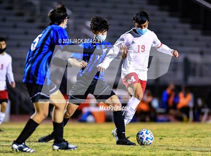 Thumbnail 1 in Mingus @ Mesquite photogallery.