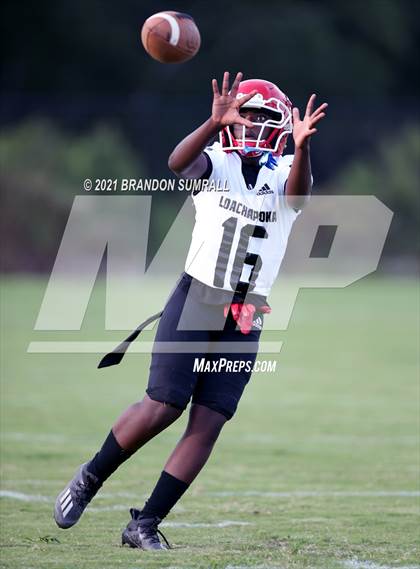 Thumbnail 3 in Loachapoka @ Billingsley photogallery.