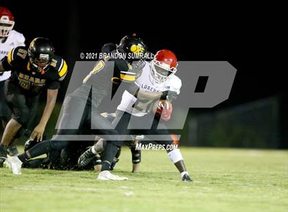 Thumbnail 1 in Loachapoka @ Billingsley photogallery.