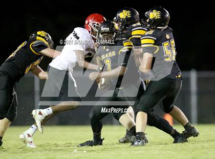 Thumbnail 3 in Loachapoka @ Billingsley photogallery.