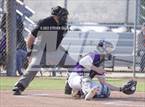 Photo from the gallery "San Marcos @ St. Augustine"