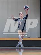 Photo from the gallery "Napa @ Rancho Cotate"