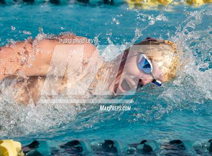 Thumbnail 3 in AIA D2 Swim Finals photogallery.
