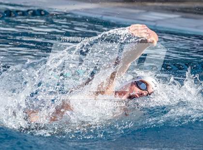 Thumbnail 1 in AIA D2 Swim Finals photogallery.