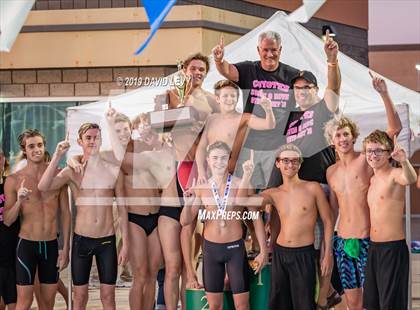 Thumbnail 1 in AIA D2 Swim Finals photogallery.