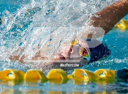Thumbnail 2 in AIA D2 Swim Finals photogallery.