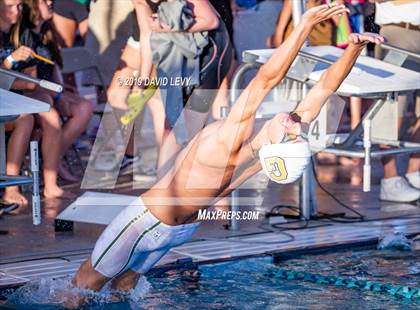 Thumbnail 1 in AIA D2 Swim Finals photogallery.