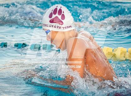 Thumbnail 2 in AIA D2 Swim Finals photogallery.
