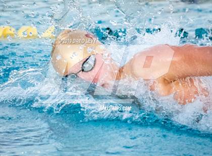 Thumbnail 1 in AIA D2 Swim Finals photogallery.