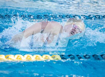 Thumbnail 2 in AIA D2 Swim Finals photogallery.