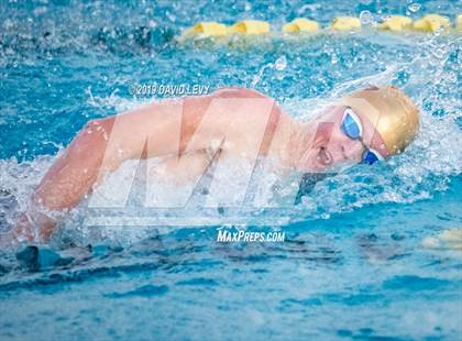 Thumbnail 3 in AIA D2 Swim Finals photogallery.