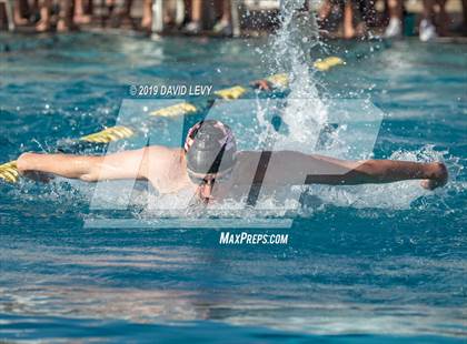 Thumbnail 1 in AIA D2 Swim Finals photogallery.