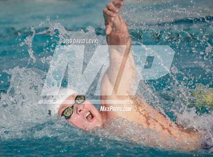 Thumbnail 3 in AIA D2 Swim Finals photogallery.