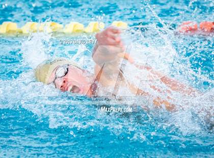 Thumbnail 3 in AIA D2 Swim Finals photogallery.