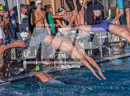 Thumbnail 1 in AIA D2 Swim Finals photogallery.