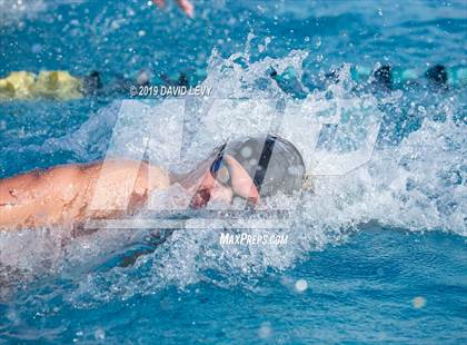 Thumbnail 3 in AIA D2 Swim Finals photogallery.