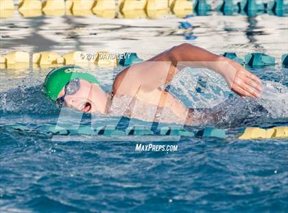 Thumbnail 3 in AIA D2 Swim Finals photogallery.