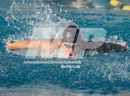 Thumbnail 2 in AIA D2 Swim Finals photogallery.