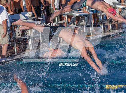 Thumbnail 3 in AIA D2 Swim Finals photogallery.