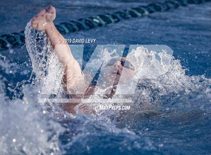 Thumbnail 1 in AIA D2 Swim Finals photogallery.