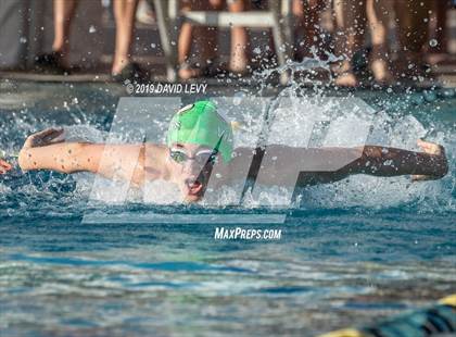 Thumbnail 3 in AIA D2 Swim Finals photogallery.