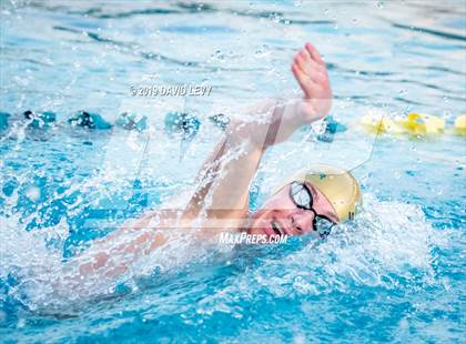 Thumbnail 1 in AIA D2 Swim Finals photogallery.