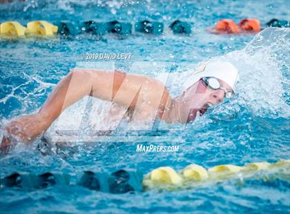 Thumbnail 2 in AIA D2 Swim Finals photogallery.