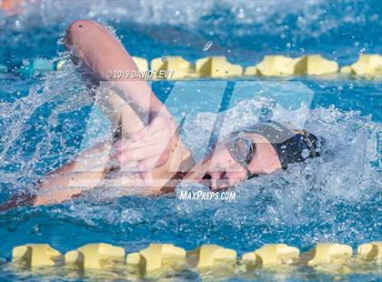 Thumbnail 3 in AIA D2 Swim Finals photogallery.