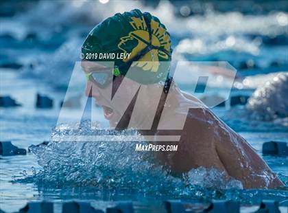 Thumbnail 1 in AIA D2 Swim Finals photogallery.