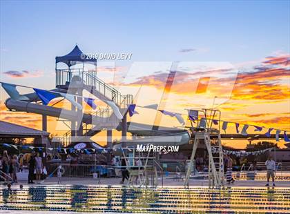 Thumbnail 1 in AIA D2 Swim Finals photogallery.