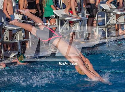 Thumbnail 3 in AIA D2 Swim Finals photogallery.
