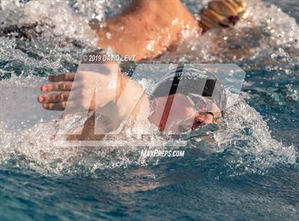 Thumbnail 3 in AIA D2 Swim Finals photogallery.