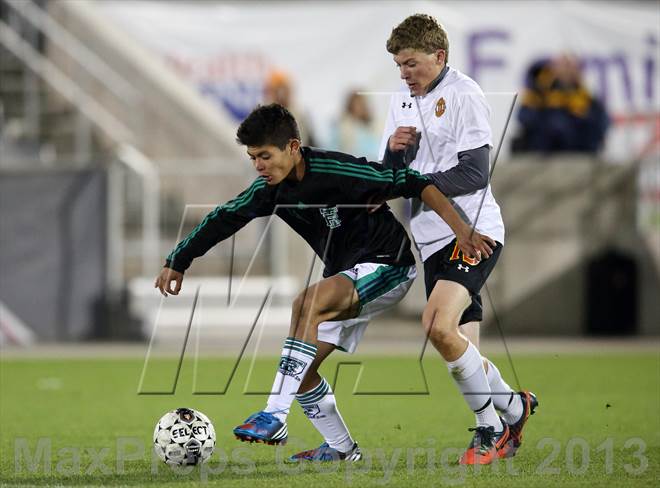 null - Photo 21