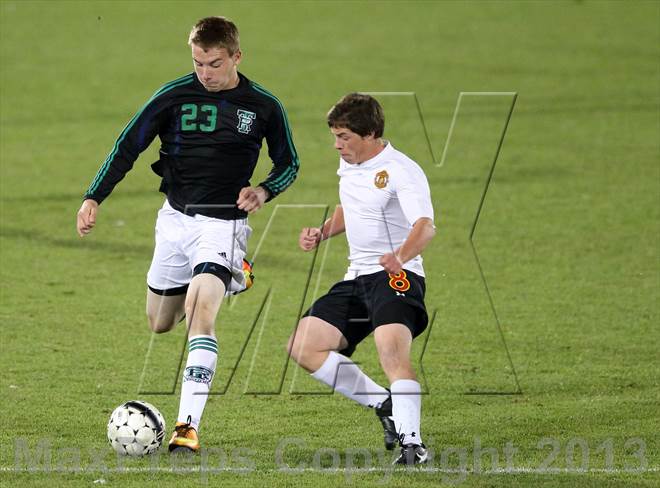 null - Photo 31