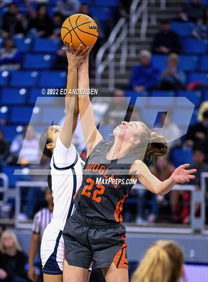 Thumbnail 1 in Centennial vs. Douglas (NIAA State 5A Semifinal) photogallery.