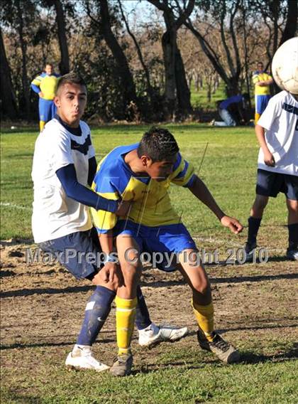 Thumbnail 3 in Esparto @ Hamilton (CIF NS D3 Final) photogallery.