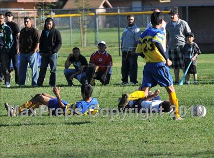 Thumbnail 3 in Esparto @ Hamilton (CIF NS D3 Final) photogallery.