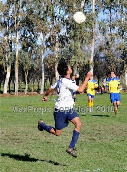 Thumbnail 2 in Esparto @ Hamilton (CIF NS D3 Final) photogallery.