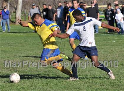 Thumbnail 1 in Esparto @ Hamilton (CIF NS D3 Final) photogallery.