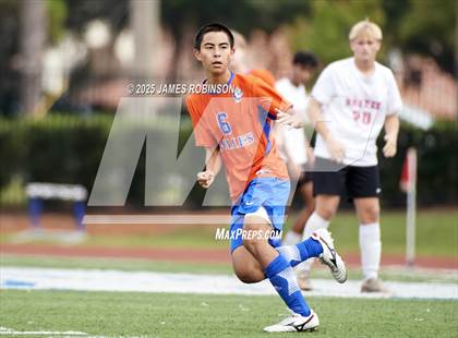 Thumbnail 3 in Seabreeze @ Bolles photogallery.