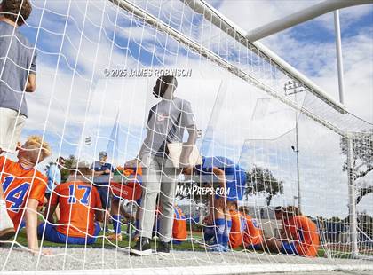 Thumbnail 1 in Seabreeze @ Bolles photogallery.