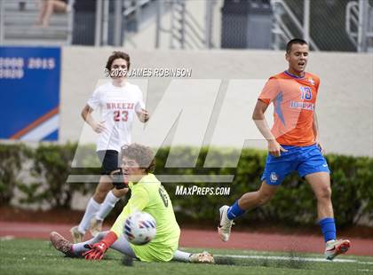 Thumbnail 3 in Seabreeze @ Bolles photogallery.