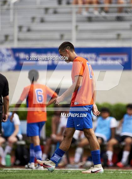 Thumbnail 1 in Seabreeze @ Bolles photogallery.