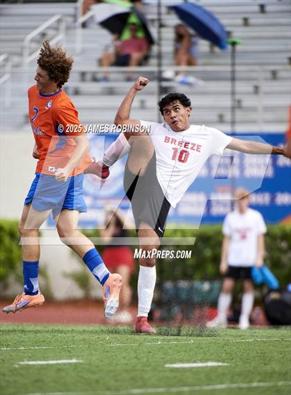 Thumbnail 1 in Seabreeze @ Bolles photogallery.