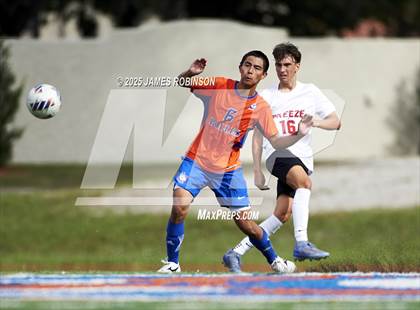 Thumbnail 2 in Seabreeze @ Bolles photogallery.