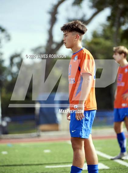 Thumbnail 3 in Seabreeze @ Bolles photogallery.