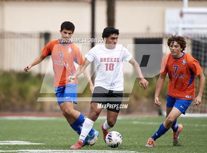 Thumbnail 2 in Seabreeze @ Bolles photogallery.